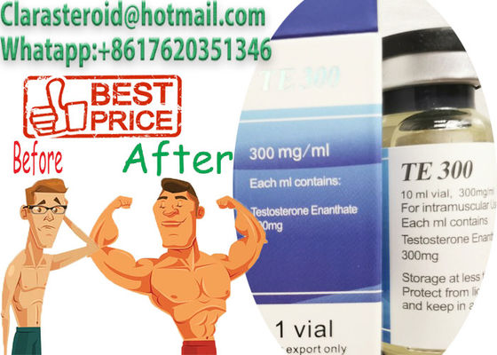 ISO9001 Injectable Anabolic Steriods Oil Testosterone Enanthate 300mg/Ml 1045 69 8